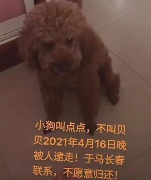 马长春最新爆料,揭秘娱乐圈惊人内幕
